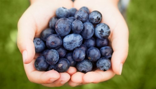 handful-of-blueberries